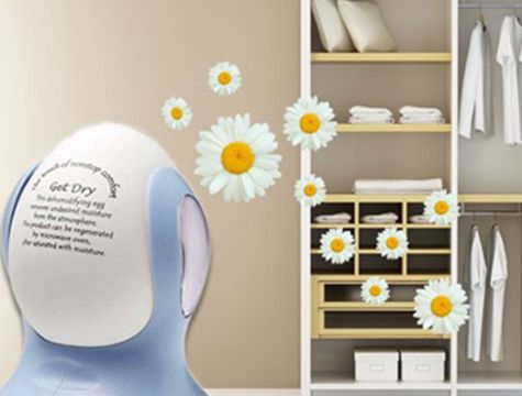 Nem ve Rutubet Giderici Mucize Yumurta