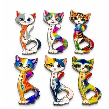 Sevimli Kedi Tasarımlı İstanbul Manzaralı  Magnet Açacak (15 cmx7cm)