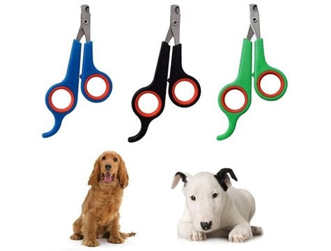Kedi Köpek & Evcil Hayvan Tırnak Makası