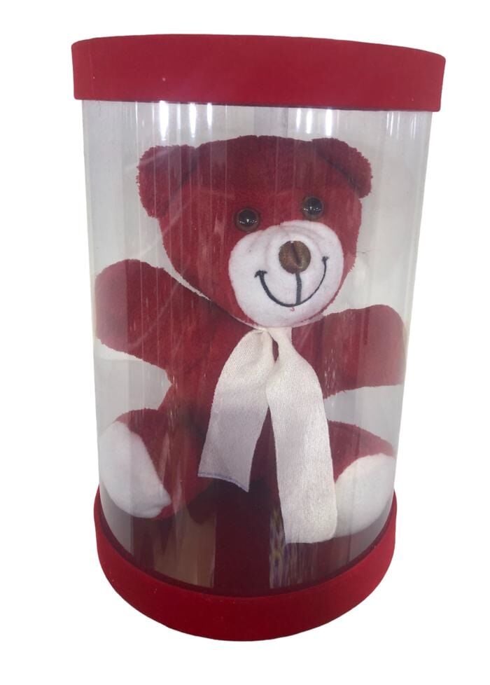 Kutulu Sevimli Kırmızı Peluş Ayıcık (21 cm)