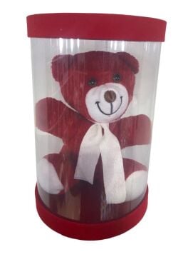 Kutulu Sevimli Kırmızı Peluş Ayıcık (21 cm)
