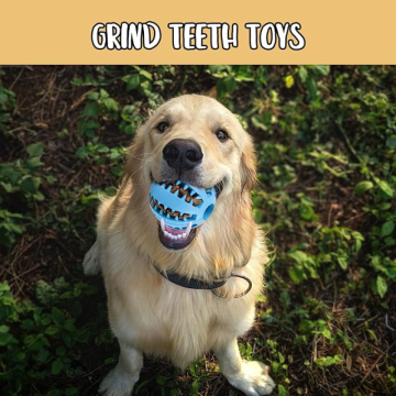 Mama Hazneli Dişli Köpek Eğitim Topu