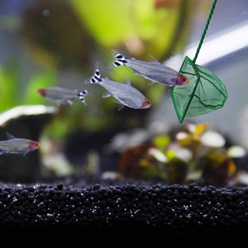 Akvaryum Balık Yakalama Kepçesi (13cm)