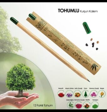Tohumlu Yaşayan Kalem (10 Adet)