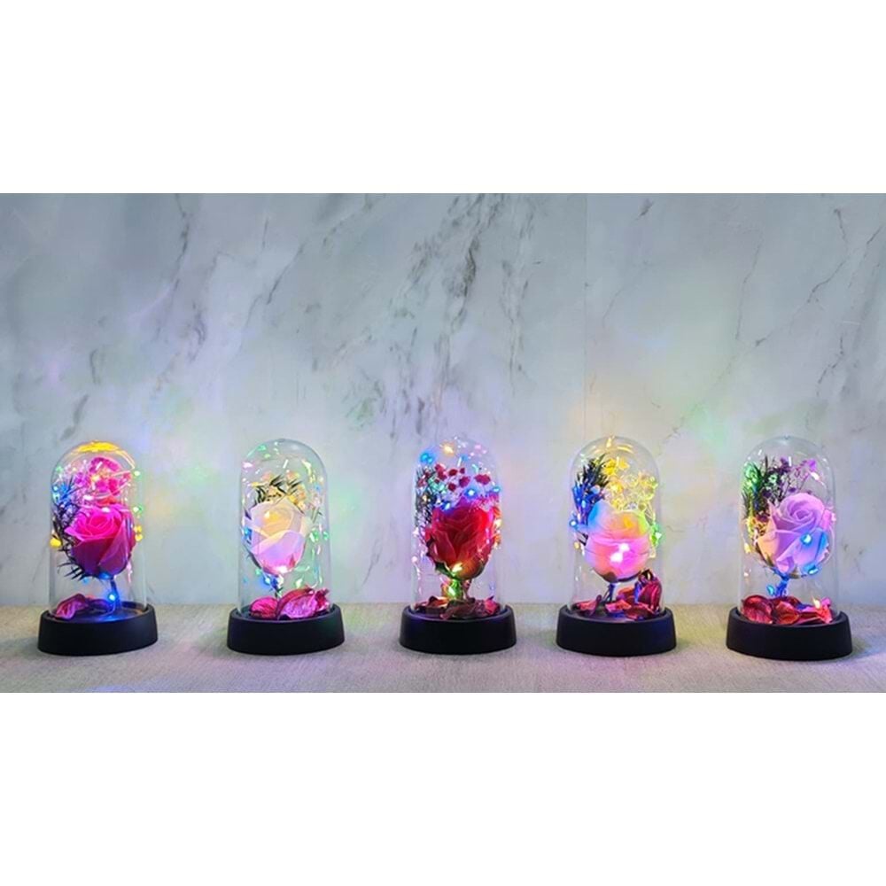 Işıklı Renkli Müzikli Romantik Cam Fanus İçinde Gül