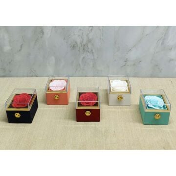 Romantik Gül Takı Hediye Kutusu Sevgililer Günü Hediyesi