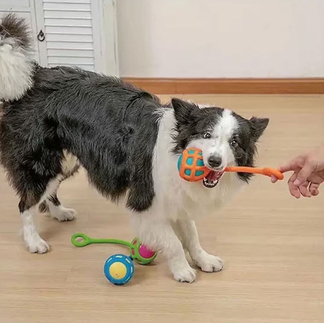 Silikon Köpek Çekiştirme Oyun Topu