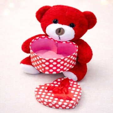 Sevgiliye Hediye Kutulu Kırmızı Kalpli Peluş Ayıcık