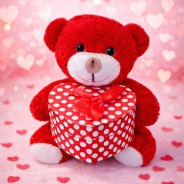 Sevgiliye Hediye Kutulu Kırmızı Kalpli Peluş Ayıcık