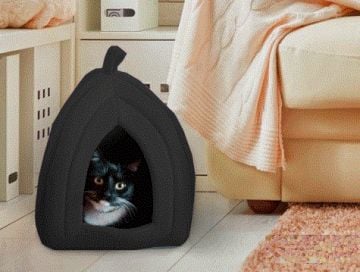 Polar Kedi ve Köpek Yatağı - Pet Hut