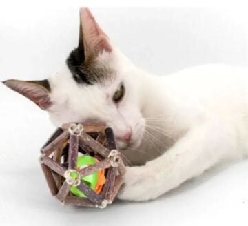 Kedi Köpek Matatabi Ağacı Kafesli Çıngıraklı Oyun Topu