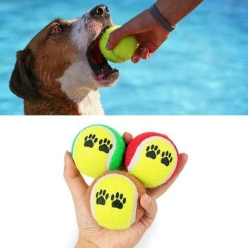 Pati Desenli Tenis Topu Kedi Köpek Oyuncağı