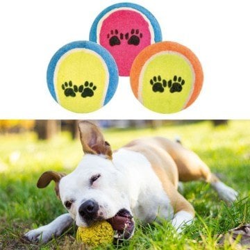 Pati Desenli Tenis Topu Kedi Köpek Oyuncağı