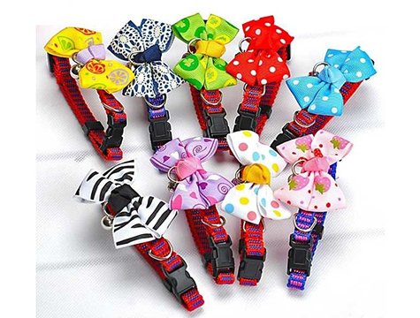 Papyonlu Kedi Tasması