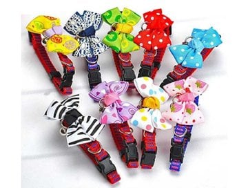 Papyonlu Kedi Tasması