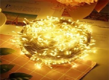 Şeffaf Kablolu Gün Işığı Pirinç Pilli 100 Ledli Işık (10 mt)