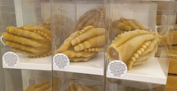 Eller Tasarımlı Bal Mumu Doğal Mum