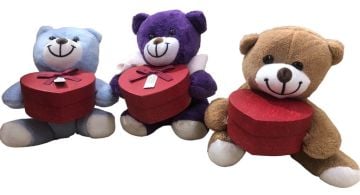 Sevgiliye Hediye Kutulu Kırmızı Kalpli Peluş Ayıcık