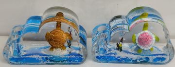 Bulut Tasarımlı Kaplumbağa Batmayan Sulu Kalemlik Biblosu