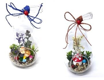 Armut Tasarımlı Dekoratif Plastik Teraryum