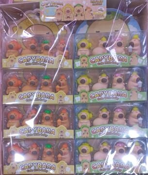 Capybara Kapibara Özel Kutulu Stick Silgi (32 Adet)