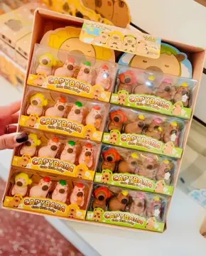 Capybara Kapibara Özel Kutulu Stick Silgi (32 Adet)