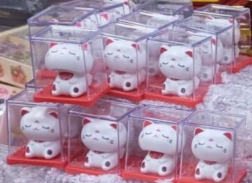 Sevimli Mini Solar Kafa Sallayan Maneki Neko Şans Kedisi