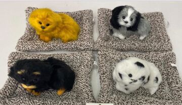 Minderde Uzanan Havlayan Peluş Köpek (25 cmx 20 cm)