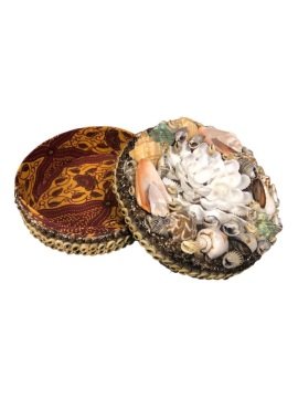 Dekoratif Deniz Kabuklu Yuvarlak Kutu