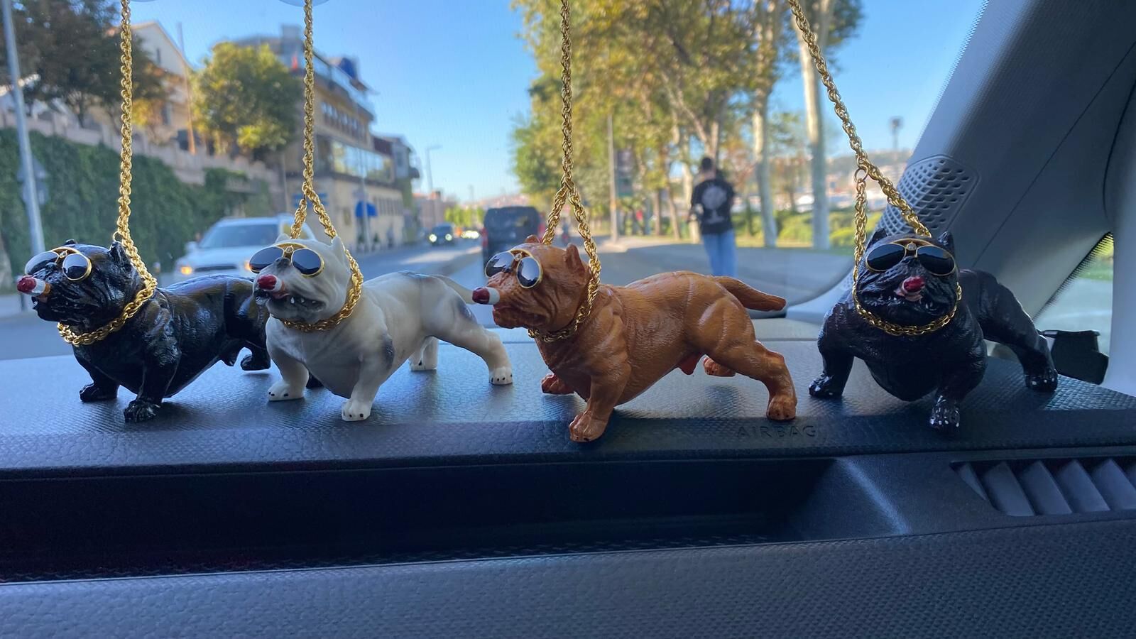 Puro İçen Gözlüklü Pitbull Köpek Biblosu Araç Torpido Üstü